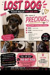 Lost Female Dog last seen 3rd and nisqualli victorville, Victorville, CA 92395