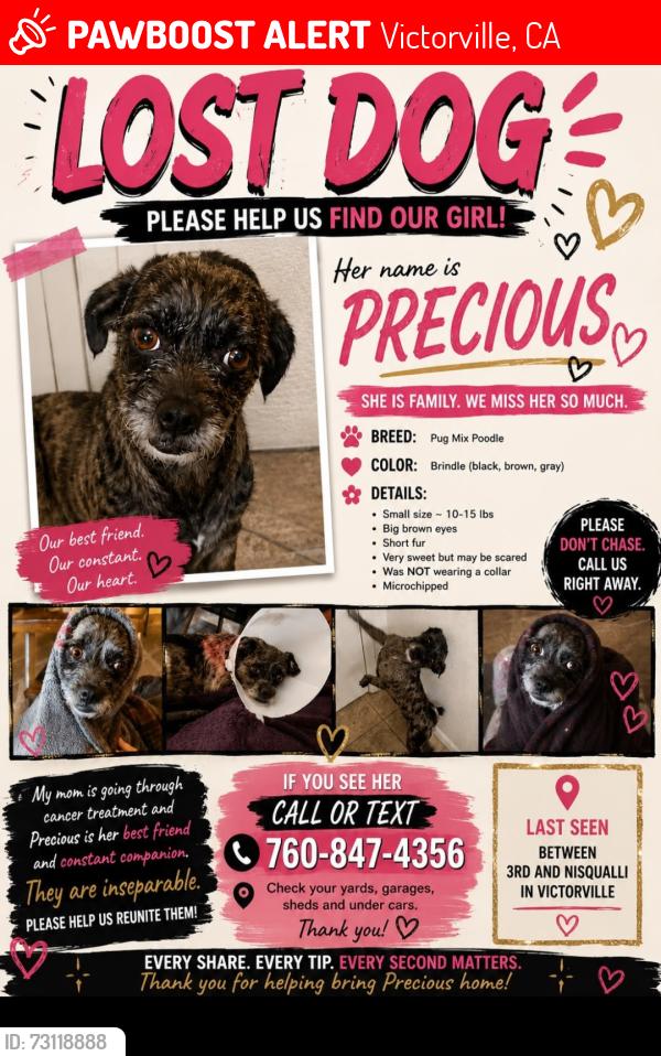 Lost Female Dog last seen 3rd and nisqualli victorville, Victorville, CA 92395