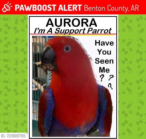 Lost Female Bird last seen East Hwy 94 near gates into Avalon Subdivision & Horseshoe Bend Park entrance on Beaver Lake, Rogers, AR, Benton County, AR 72758