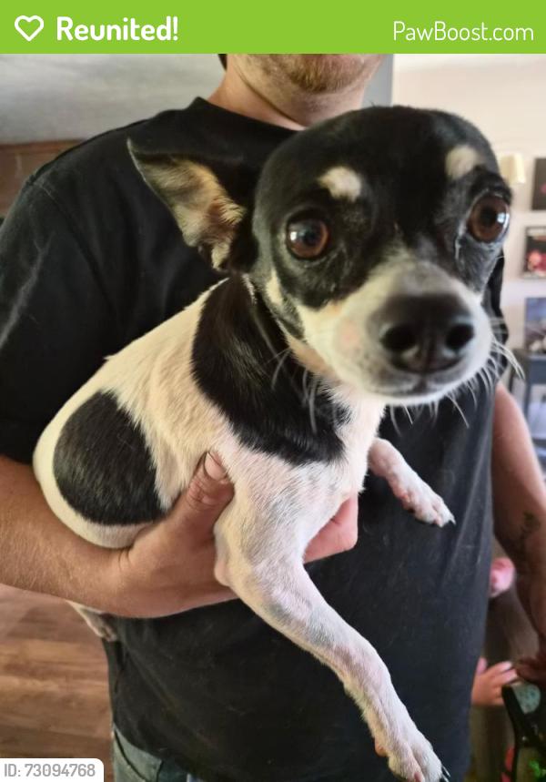 Reunited Female Dog last seen Near Dorr Circle Easley SC 29640, Easley, SC 29640