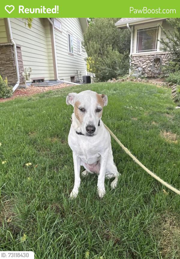 Reunited Female Dog last seen 67th Ave, Greeley, CO 80634