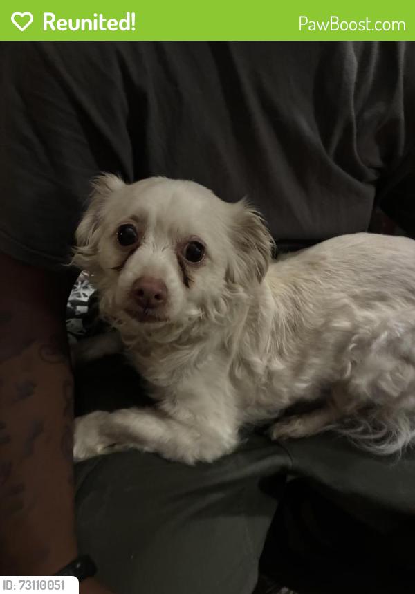 Reunited Male Dog last seen Near walker st , Philadelphia, PA 19136