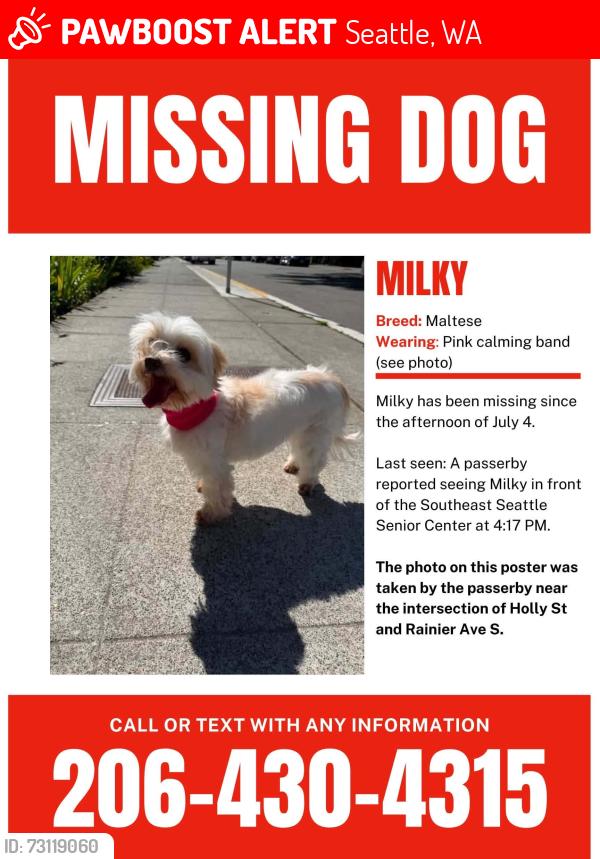 Lost Female Dog last seen Near S Holly St, Seattle, WA 98118, Seattle, WA 98118