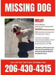 Lost Female Dog last seen Near S Holly St, Seattle, WA 98118, Seattle, WA 98118