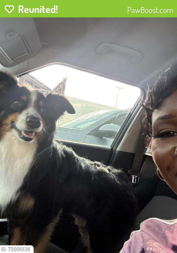 Reunited Male Dog last seen Flicker Ridge Rd in Moore OK by 12th st, Moore, OK 73160