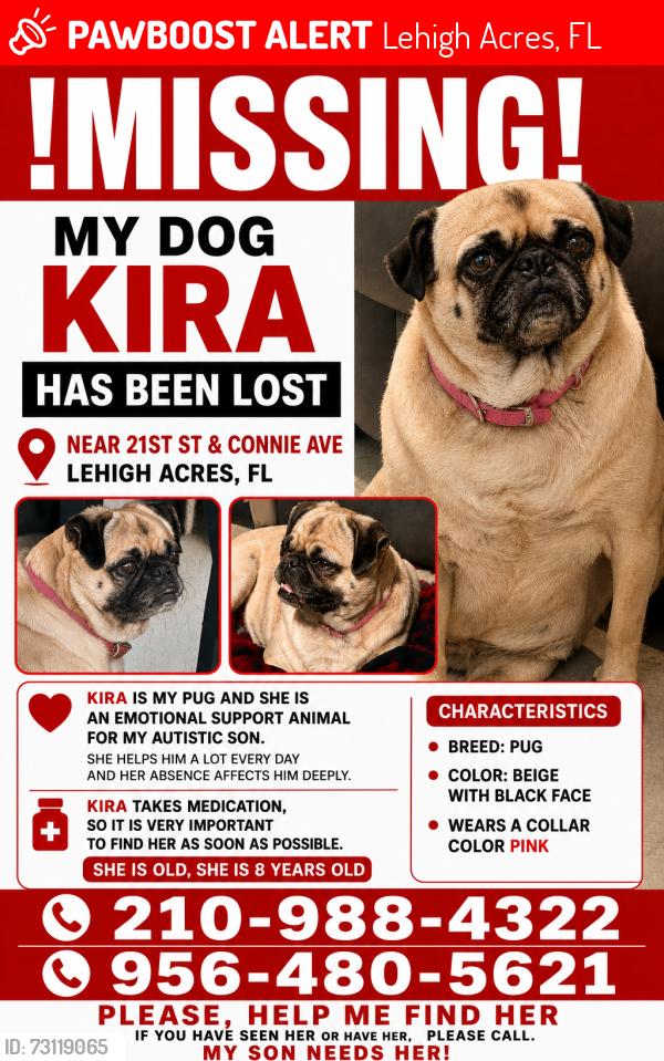 Lost Female Dog last seen 21st St W, Lehigh Acres, FL 33971