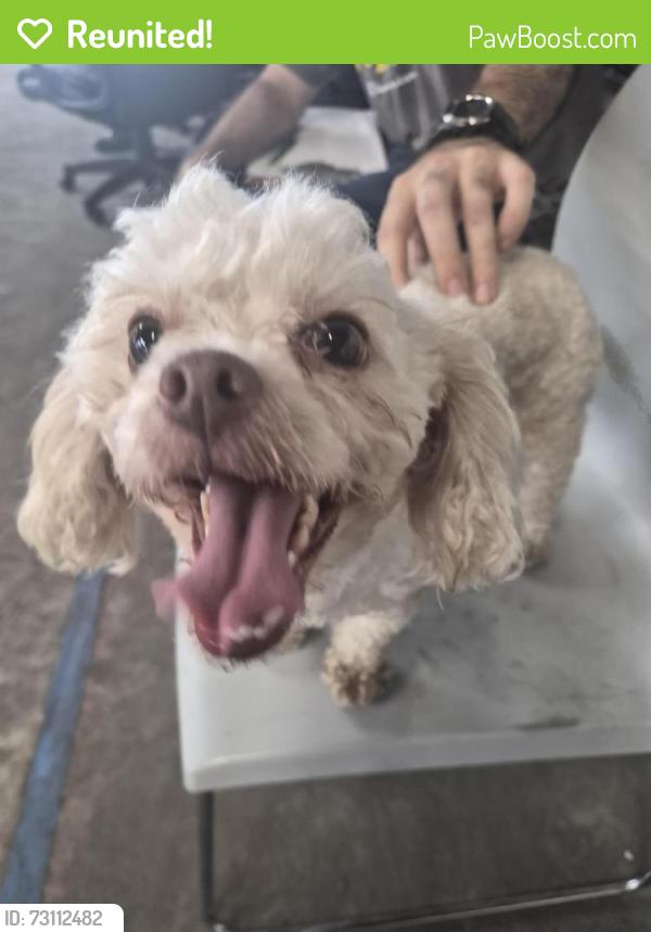 Reunited Female Dog last seen Telephone/ Tellepsen, Houston, TX 77023