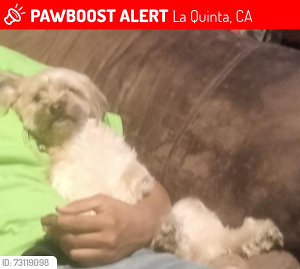 Lost Female Dog last seen Call oma and eisenhower, La Quinta, CA 92253
