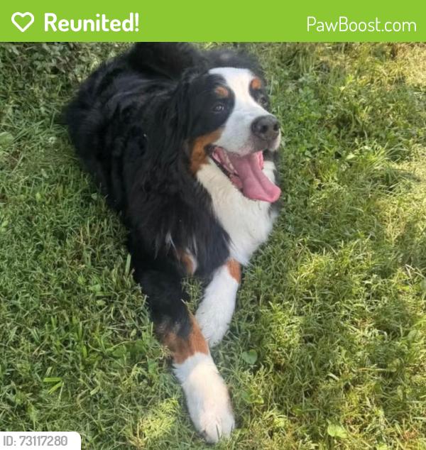 Reunited Male Dog last seen Owen Street in Germantown, Nashville, TN 37208