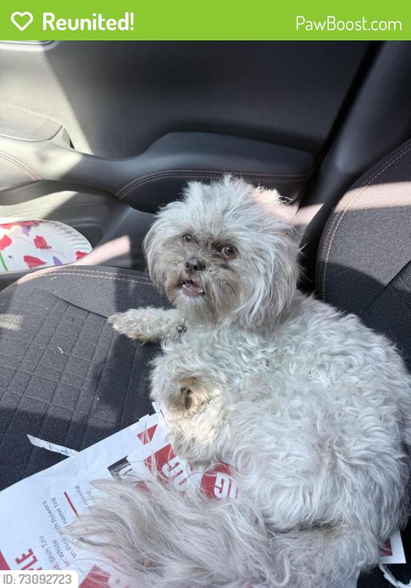Reunited Female Dog last seen Near factory street, Nashville, TN 37210