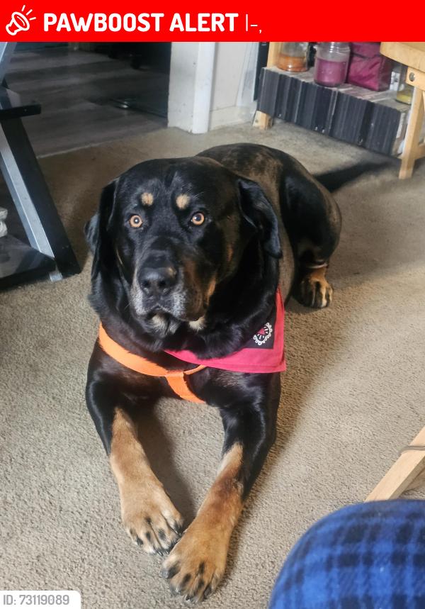 Lost Male Dog last seen South Eastern South Dakota???, I-90,  57055