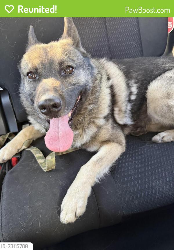 Reunited Male Dog last seen Jet wing/ hancock, Colorado Springs, CO 80916