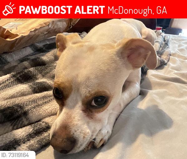 Lost Male Dog last seen Patrick Henry Parkway & Jodeco, McDonough, GA 30253