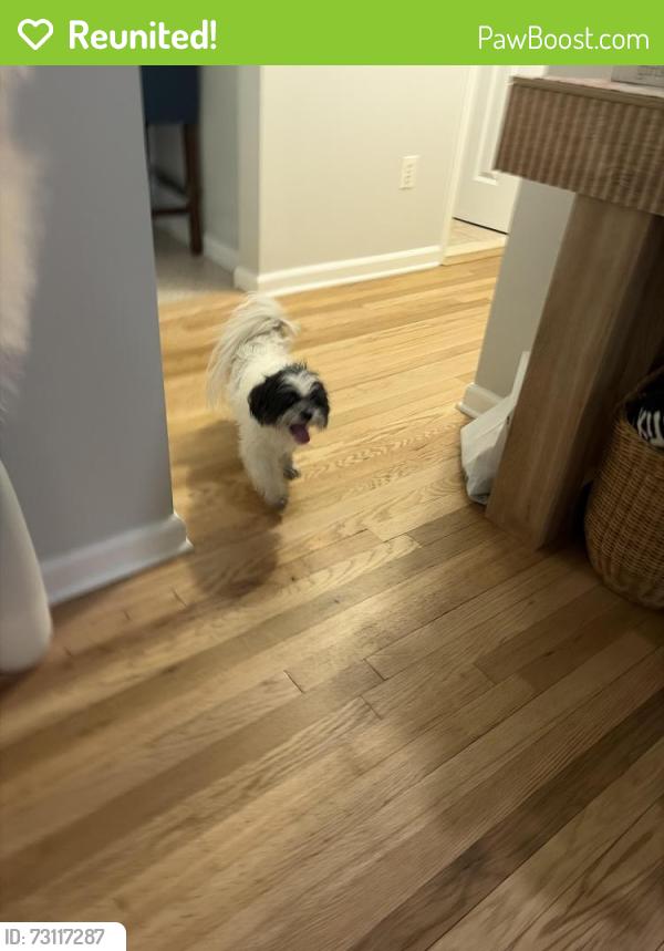 Reunited Female Dog last seen E 7th street, Sterling st, Plainfield, NJ 07062