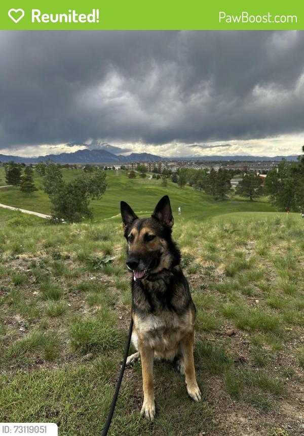 Reunited Male Dog last seen Interlocken Golf Course, Broomfield, CO 80021