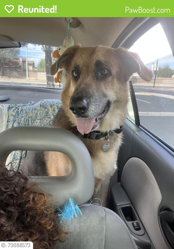 Reunited Female Dog last seen Challenger way and Avenue K , near the Vallarta area, Lancaster, CA 93535