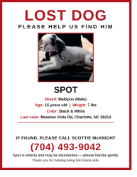 Reunited Male Dog last seen Meadow Vista Rd & Coralbell Ln, Charlotte, NC 28213