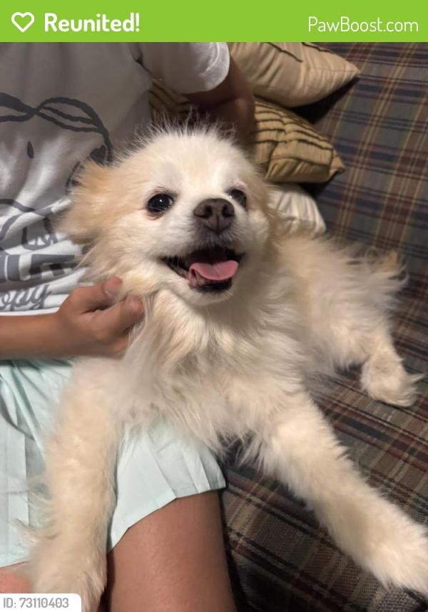 Reunited Male Dog last seen La Paz, Palmdale, CA 93551