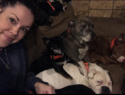 Lost Female Dog last seen Main St. Gratiot, Gratiot, OH 43740