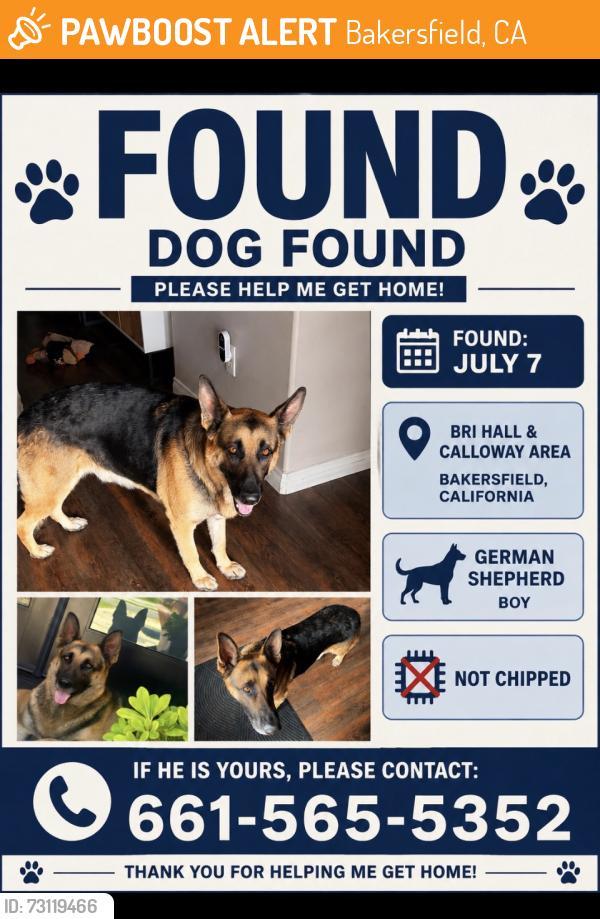 Found/Stray Male Dog last seen Brimhall and Calloway, Bakersfield, CA 93314