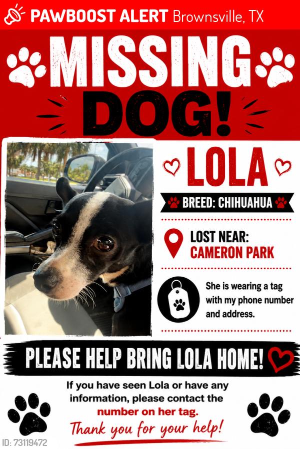 Lost Female Dog last seen paredes danna street, Brownsville, TX 78526