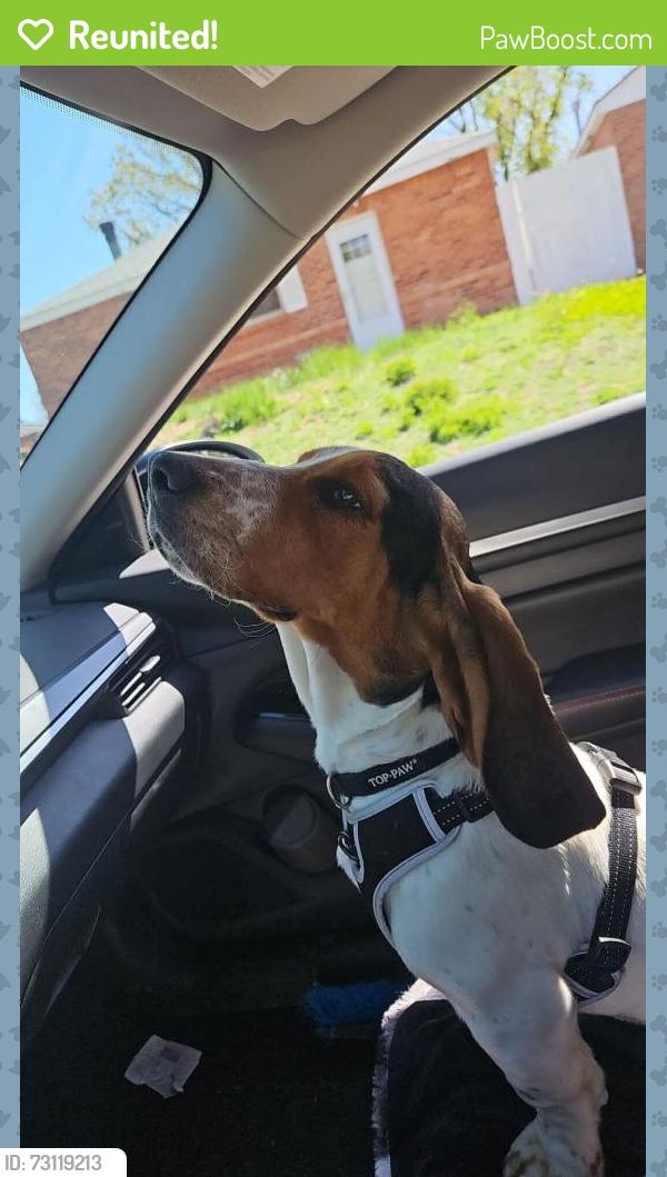 Reunited Male Dog last seen Near Hoffman Way, Thornton, CO 80229, USA, Thornton, CO 80229