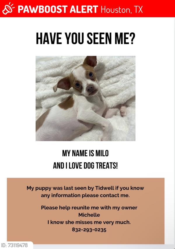 Lost Male Dog last seen Heaney Dr by Veterans Memorial, Houston, TX 77076