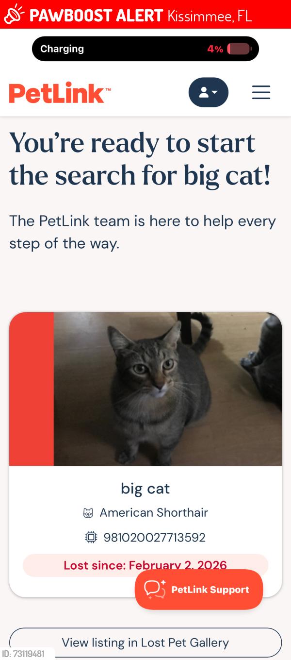 Lost Male Cat last seen W hughey st, Kissimmee, FL 34741