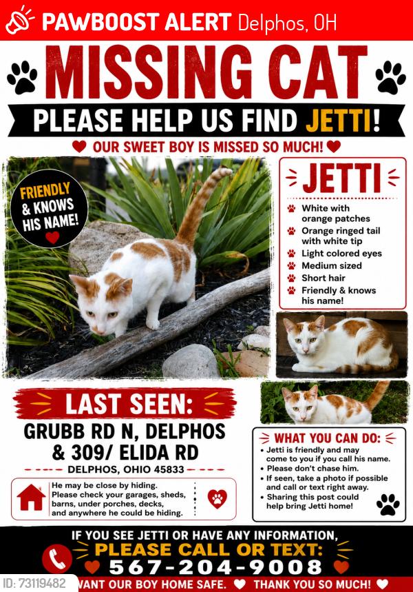 Lost Male Cat last seen Elida Rd, Delphos, OH 45833