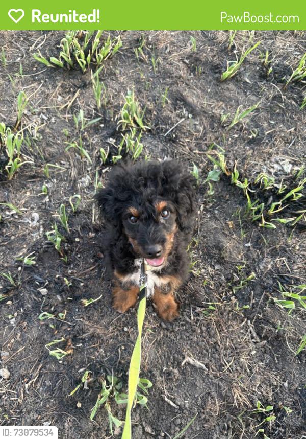 Reunited Male Dog last seen CR 2700, Independence, KS 67301