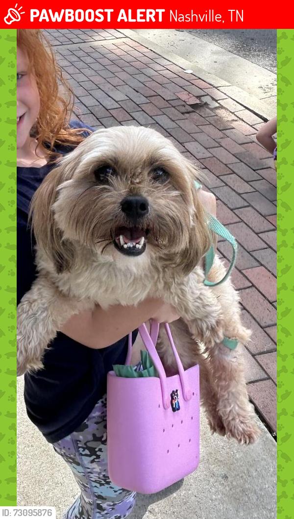 Lost Male Dog last seen Buchanan St and 15th Ave N, Nashville, TN 37208
