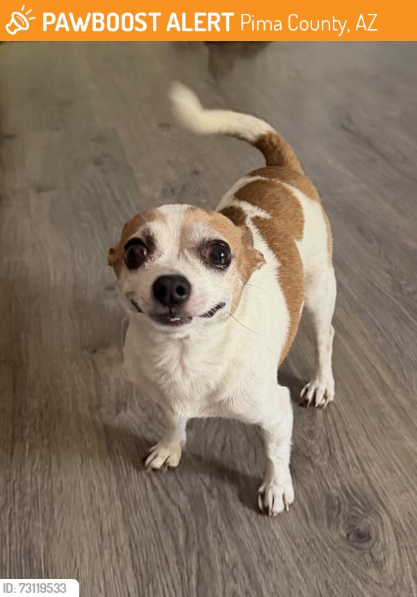 Found/Stray Male Dog last seen Thornydale and Overton, Pima County, AZ 85742