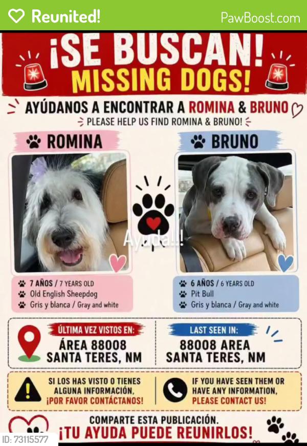 Reunited Male Dog last seen Near Lourdes road Santa Teresa, Santa Teresa, NM 88008