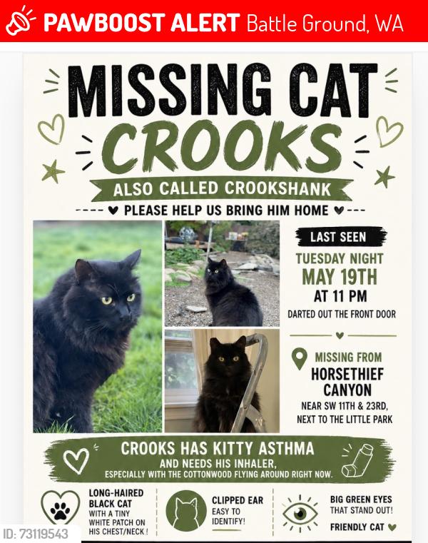 Lost Male Cat last seen Park at SW 24th Ave & SW 11th street, Battle Ground, WA 98604