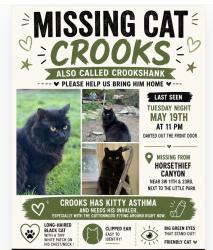 Lost Male Cat last seen Park at SW 24th Ave & SW 11th street, Battle Ground, WA 98604