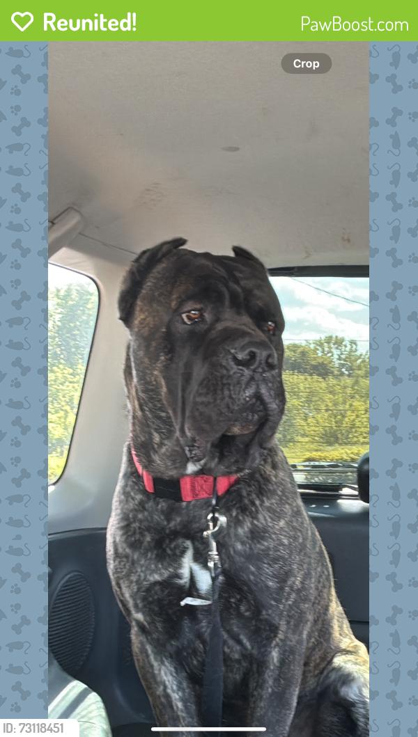 Reunited Male Dog last seen In turner kck near highland Dr and Gibbs road. Last seen going towards key in, Kansas City, KS 66106