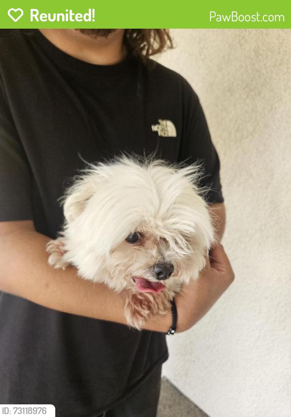 Reunited Male Dog last seen Blue orchid, Carlsbad, CA 92011