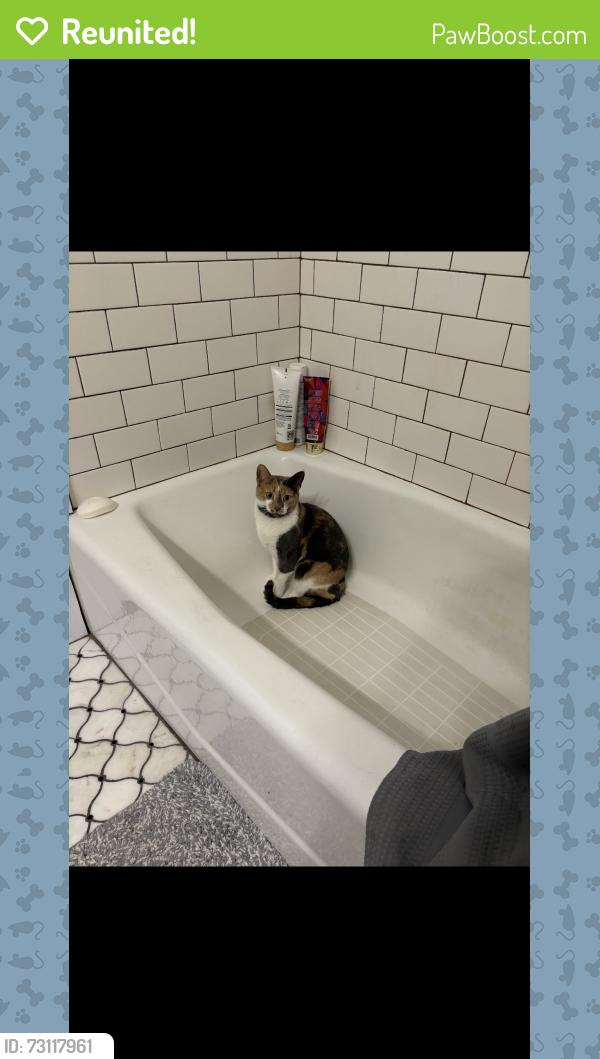 Reunited Female Cat last seen On the West side of E 14th street between Washington and Jefferson st., Des Moines, IA 50316