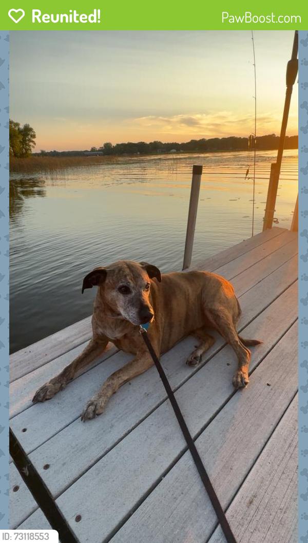 Reunited Female Dog last seen Golden Oak Dr & Cameo Ln, Circle Pines, MN 55014