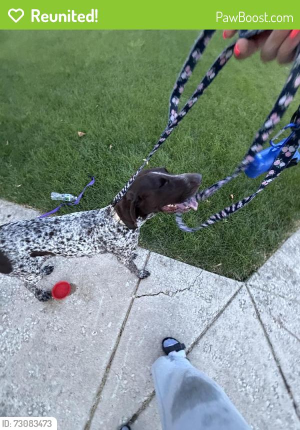 Reunited Unknown Dog last seen Brittany Drive, Joliet, Joliet, IL 60435