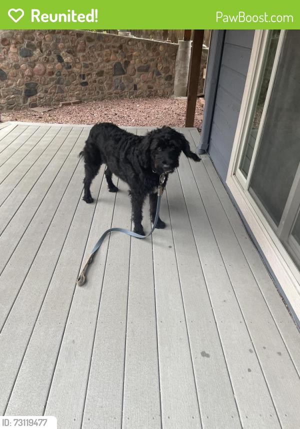 Reunited Unknown Dog last seen Near w exposition drive, Lakewood, Lakewood, CO 80228