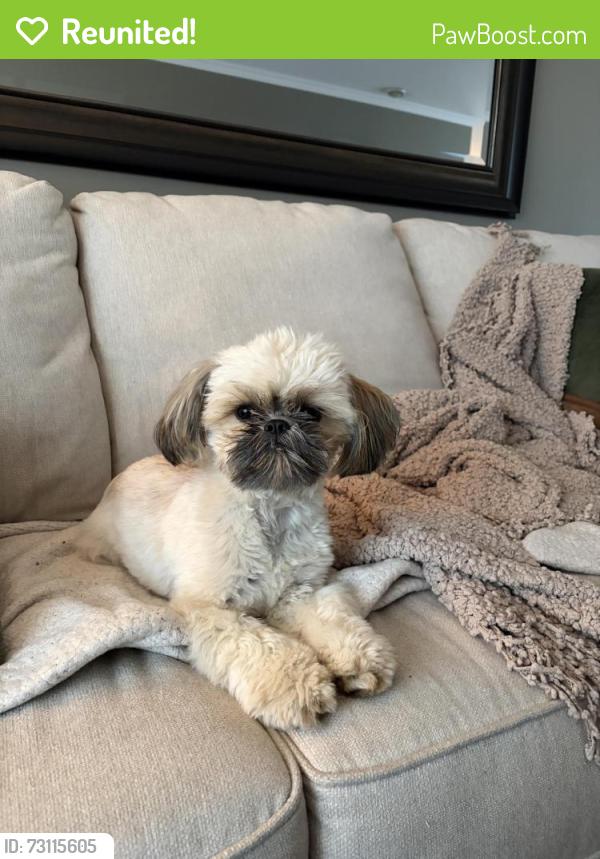 Reunited Female Dog last seen Topsail Road, Karwood Drive, Paradise, NL A1L 1W2