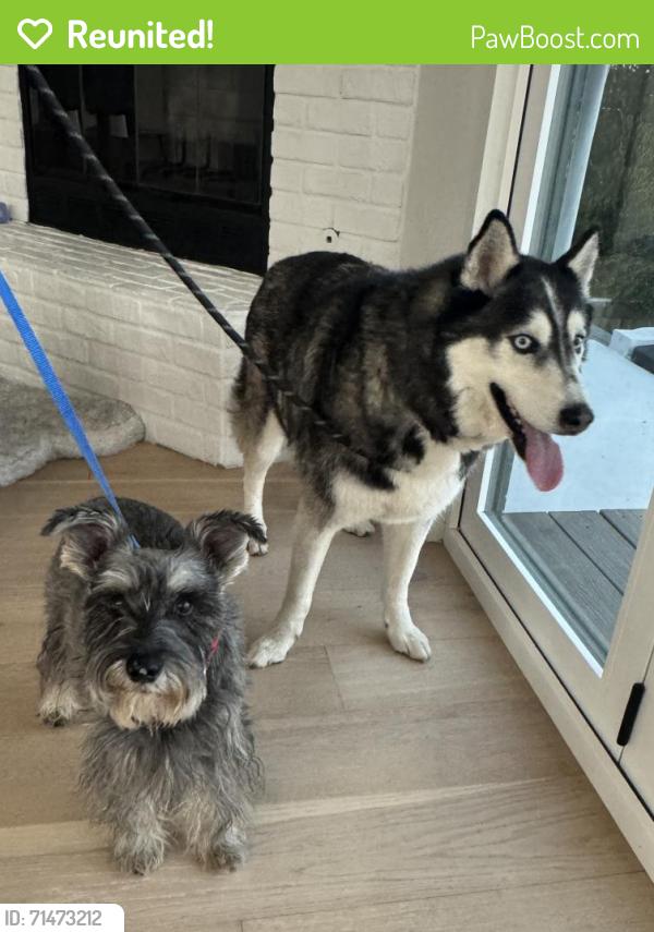 Reunited Male Dog last seen Near Cowley Way, San Diego, CA 92117