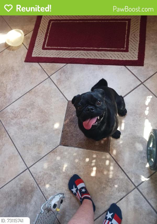 Reunited Male Dog last seen Roadrunner Lp and Sandpiper, Rio Rancho, NM 87144