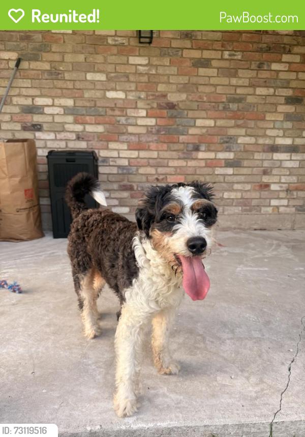 Reunited Male Dog last seen Buckner Terrace, Dallas, TX 75227