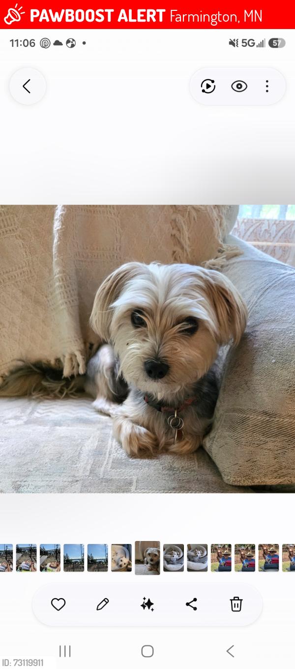 Lost Male Dog last seen Faraday Lane and fieldcrest, Farmington, MN 55024