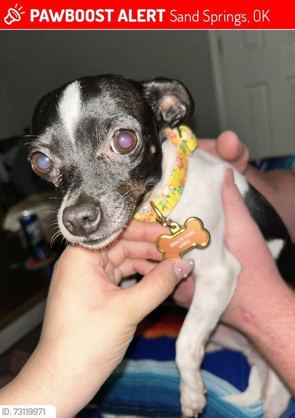 Lost Female Dog last seen 51st & Redbud Dr, Sand Springs, OK 74063