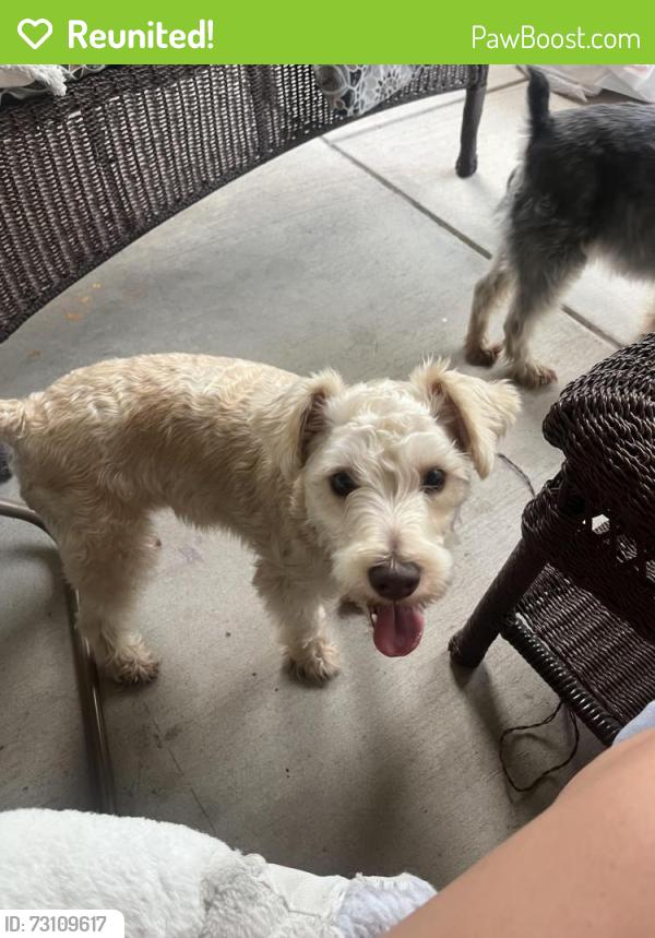 Reunited Male Dog last seen N Garland Ave and Naaman Forest Blvd Near Lifetime Fitness Gym, Garland, TX 75044