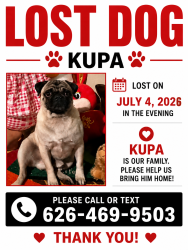 Lost Male Dog last seen Macalpine &12 st, Moore, OK 73160