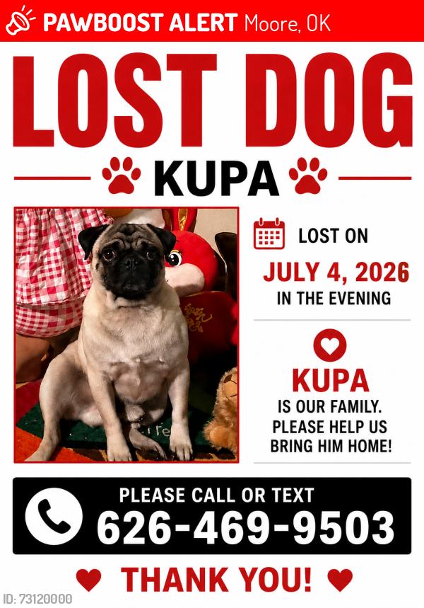 Lost Male Dog last seen Macalpine &12 st, Moore, OK 73160